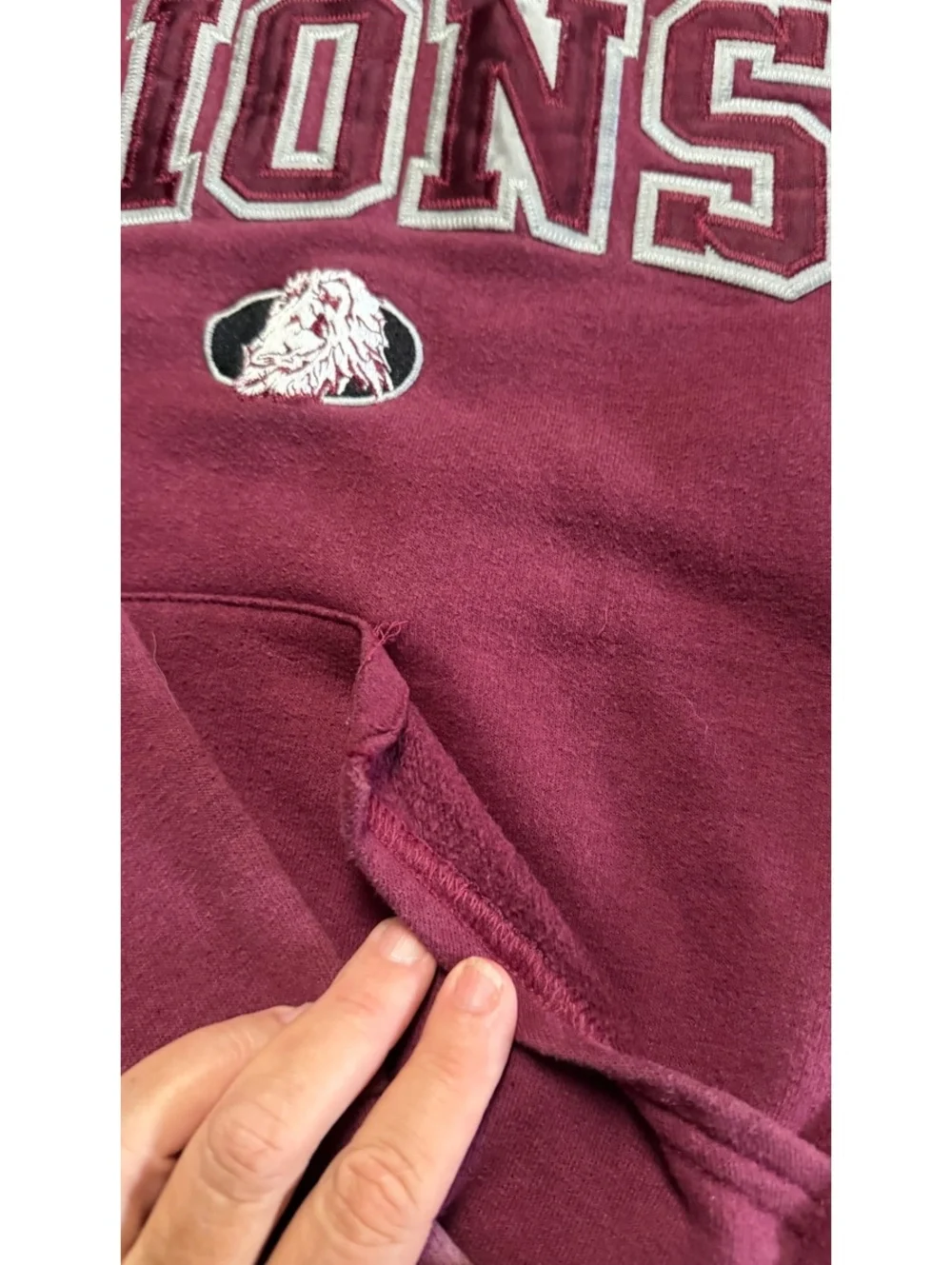 FBA Branded Lion Hoodie